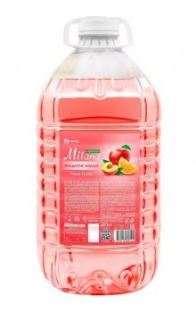 Жидкое мыло 5л МИЛАНА Fresh Fruits ПЭТ 125806 - Премиум Сервис