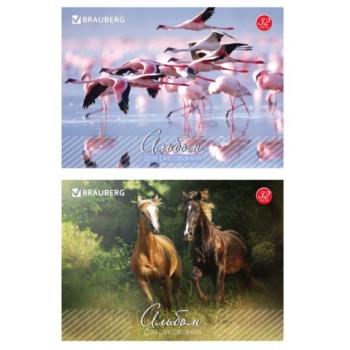 Альбом для рисования, А4, 32 листа, скоба, обложка картон, BRAUBERG, 200х283 мм, "Живая природа" (2 вида), 103683 - Премиум Сервис