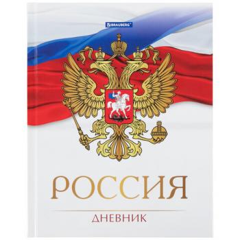 Дневник 5-11 класс 48 л., твердый, BRAUBERG, глянцевая ламинация, с подсказом, "Символика 2", 106067 - Премиум Сервис