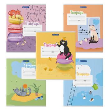 Тетрадь 12 л. BRAUBERG, линия, обложка картон, "ОЗОРНЫЕ КОТЫ", 106472 - Премиум Сервис