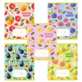 Тетрадь 18 л. BRAUBERG линия, обложка картон, "ФРУКТЫ", 106482 - Премиум Сервис