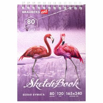 Скетчбук, белая бумага 120 г/м2 165х240 мм, 80 л., гребень, твердая обложка, BRAUBERG ART DEBUT, 112990 - Премиум Сервис