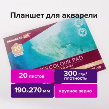 Папка для акварели/планшет, 300 г/м2, 190х270 мм, склейка, крупное зерно, 20 л., BRAUBERG ART PREMIERE, 113247 - Премиум Сервис