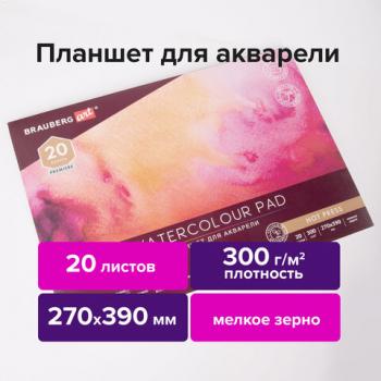 Папка для акварели/планшет, 300 г/м2, 270х390 мм, склейка, мелкое зерно, 20 л., BRAUBERG ART PREMIERE, 113249 - Премиум Сервис