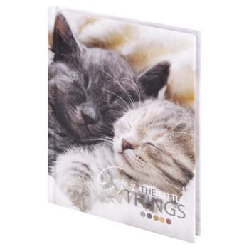 Блокнот МАЛЫЙ ФОРМАТ (110х147 мм), А6, 80 л., твёрдый, клетка, STAFF, "Котики", 114439 - Премиум Сервис