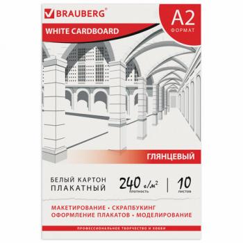 Картон белый БОЛЬШОГО ФОРМАТА, А2 МЕЛОВАННЫЙ (глянцевый), 10 листов, в папке, BRAUBERG, 400х590 мм, 124764 - Премиум Сервис