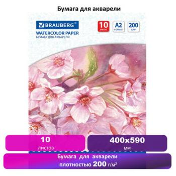 Бумага для акварели БОЛЬШАЯ А2, 10 л., 200 г/м2, 400х590 мм, BRAUBERG, "Цветы", 125223 - Премиум Сервис