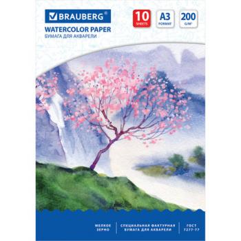 Бумага для акварели БОЛЬШАЯ А3, 10 л., 200 г/м2, 297х420 мм, BRAUBERG, "Сакура", 125224 - Премиум Сервис