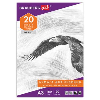 Папка для рисования БОЛЬШОГО ФОРМАТА А3, 20 л., 160 г/м2, BRAUBERG, 297х420 мм, "Орел", 125228 - Премиум Сервис