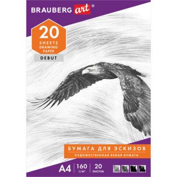 Папка для рисования А4, 20 л., 160 г/м2, BRAUBERG, 210х297 мм, "Орел", 125230 - Премиум Сервис