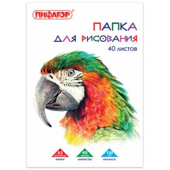 Папка для рисования БОЛЬШОГО ФОРМАТА А3, 40 л., 120 г/м2, ПИФАГОР, 297х420 мм, "Попугай", 129219 - Премиум Сервис