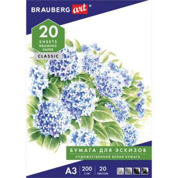 Папка для рисования БОЛЬШОГО ФОРМАТА А3, 20 л., 200 г/м2, BRAUBERG, 297х420 мм, 129224 - Премиум Сервис