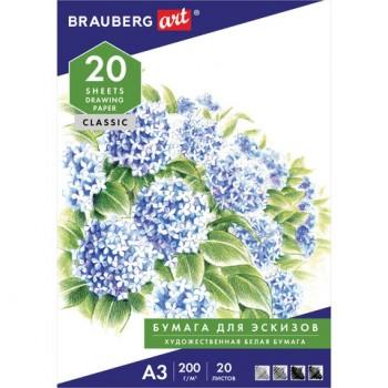 Папка для рисования БОЛЬШОГО ФОРМАТА А3, 20 л., 200 г/м2, BRAUBERG, 297х420 мм, 129224 - Премиум Сервис