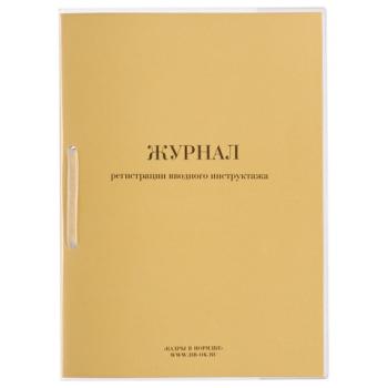 Журнал регистрации вводного инструктажа, 32 л., сшивка, пломба, обложка ПВХ, 130204 - Премиум Сервис