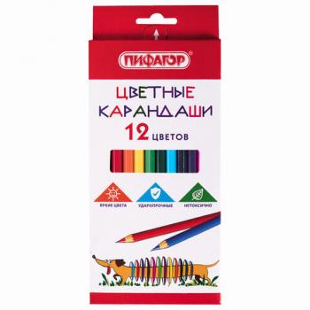 Карандаши цветные ПИФАГОР "Веселая такса", 12 цветов, классические, заточенные, 181806 - Премиум Сервис