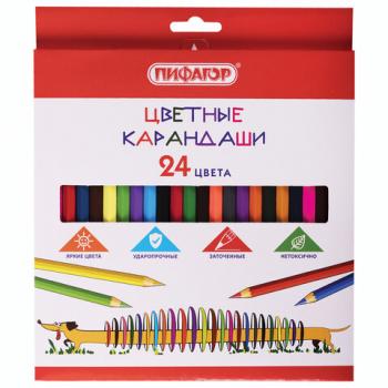 Карандаши цветные ПИФАГОР "Веселая такса", 24 цвета, классические, заточенные, 181808 - Премиум Сервис