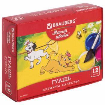 Гуашь BRAUBERG "МАГИЯ ЦВЕТА", 12 цветов по 20 мл, 190557 - Премиум Сервис