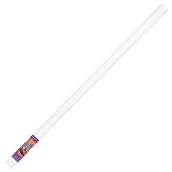 Холст в рулоне BRAUBERG ART DEBUT, 2,1x10 м, грунт., 280 г/м2, 100% хлопок, мелкое зерно, 191031 - Премиум Сервис