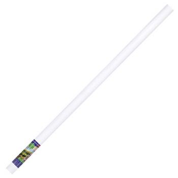 Холст в рулоне BRAUBERG ART CLASSIC, 1,6x10 м, грунт., 380 г/м2, 100% хлопок, среднее зерно, 191032 - Премиум Сервис