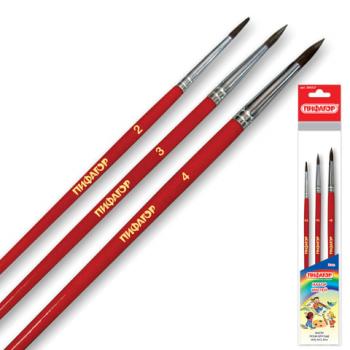 Кисти ПИФАГОР, набор 3 шт. (ПОНИ: круглые № 2, 3, 4), пакет с европодвесом, 200227 - Премиум Сервис