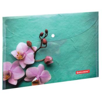 Папка-конверт с кнопкой BRAUBERG "FLOWER", А4, 160 мкм, до 100 листов, цветная печать, 228031 - Премиум Сервис