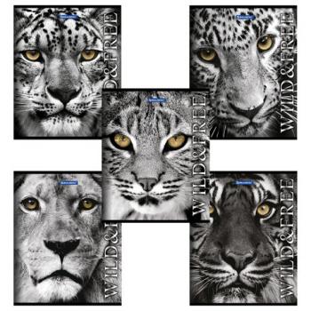 Тетрадь А5, 48 л., BRAUBERG, клетка, обложка картон, ДИКИЕ И СВОБОДНЫЕ, 401810 - Премиум Сервис