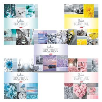Тетрадь А5, 96 л., HATBER, скоба, клетка, обложка картон, "BEAUTIFUL COLOURE" (5 видов), 96Т5В1, T241349 - Премиум Сервис