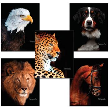 Тетрадь А5, 48 л., BRAUBERG, клетка, обложка картон, ЖИВОТНЫЕ, 403034 - Премиум Сервис