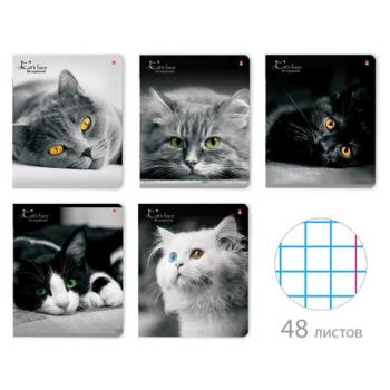 Тетрадь А5 48 л. АЛЬТ скоба, клетка, глянцевый лак, "Кошки. Яркий взгляд" (5 видов), 7-48-1019 - Премиум Сервис