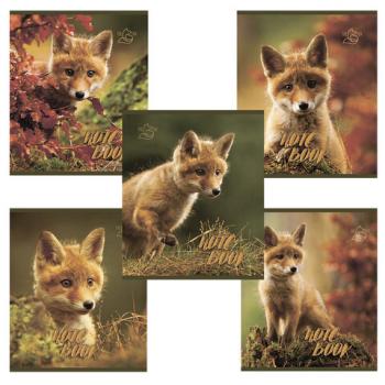 Тетрадь А5, 48 л., ПЗБМ, скоба, клетка, конгрев, глянцевый лак, "Хитрый лис" (5 видов), 028061 - Премиум Сервис