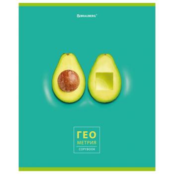 Тетрадь предметная "AVOCADO" 48 л., глянцевый лак, ГЕОМЕТРИЯ, клетка, BRAUBERG, 404278 - Премиум Сервис