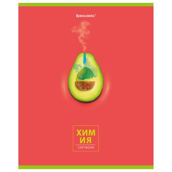 Тетрадь предметная "AVOCADO" 48 л., глянцевый лак, ХИМИЯ, клетка, BRAUBERG, 404284 - Премиум Сервис