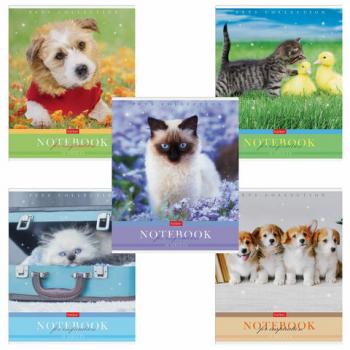 Тетрадь А5 48 л. HATBER скоба, клетка, обложка картон, "Усы, лапы, хвост" (5 видов в спайке), 48Т5В1 - Премиум Сервис