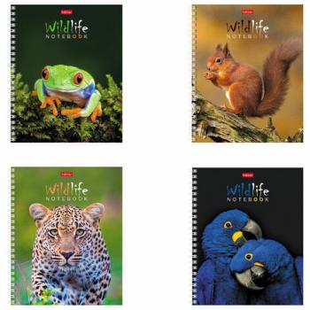 Тетрадь А5, 80 л., HATBER гребень, клетка, обложка картон, "ЗОО_мир" (4 вида в спайке), 80Т5В1гр - Премиум Сервис