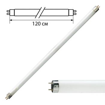 Лампа люминесцентная PHILIPS TL-D 36W/54-765, 36 Вт, цоколь G13, в виде трубки 120 см, холодный дневной свет, 815849 - Премиум Сервис