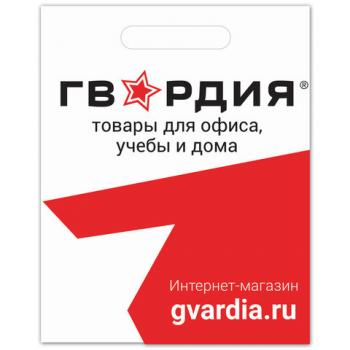 Пакет презентационно-упаковочный ГВАРДИЯ, 40х50 см, усиленная ручка, 503224 - Премиум Сервис