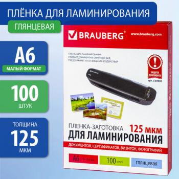 Пленки-заготовки для ламинирования МАЛОГО ФОРМАТА, А6, КОМПЛЕКТ 100 шт., 125 мкм, BRAUBERG, 530806 - Премиум Сервис