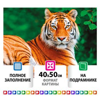 Картина стразами (алмазная мозаика) 40х50 см, ОСТРОВ СОКРОВИЩ "Тигр", на подрамнике, 662427 - Премиум Сервис