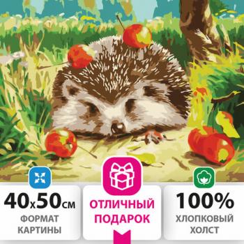 Картина по номерам 40х50 см, ОСТРОВ СОКРОВИЩ "Ежик", на подрамнике, акриловые краски, 3 кисти, 662490 - Премиум Сервис