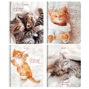 Тетрадь А5, 96 л., BRAUBERG, гребень, клетка, "Котики", 404425 - Премиум Сервис