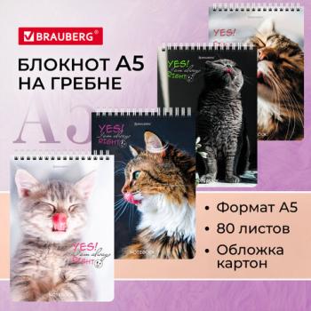 Блокнот А5 (146х206 мм), 80 л., гребень, картон, клетка, BRAUBERG, "Довольные коты", 114374 - Премиум Сервис