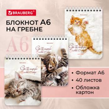 Блокнот МАЛЫЙ ФОРМАТ 108х145мм, А6, 40л, гребень, картон, клетка, BRAUBERG, "Котики", 114391 - Премиум Сервис