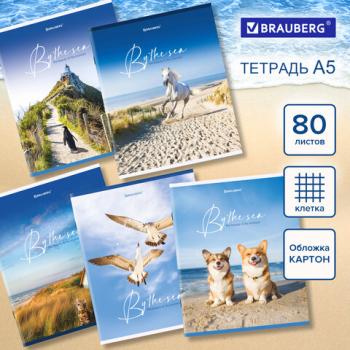 Тетрадь А5 80л. BRAUBERG скоба, клетка, ДИЗАЙН 2, Код_1С, 404410 - Премиум Сервис