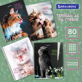 Тетрадь А5 80л. BRAUBERG гребень, клетка, глянцевая ламинация, ДИЗАЙН 3, Код_1С, 404417 - Премиум Сервис