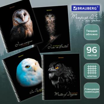 Тетрадь А5 96л. BRAUBERG гребень, клетка, твёрдая обложка, ДИЗАЙН 1, Код_1С, 404443 - Премиум Сервис