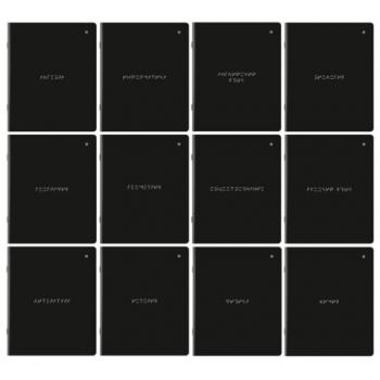 Тетради предметные, КОМПЛЕКТ 12 ПРЕДМЕТОВ, MINIMAL, 48л, матовая ламинация, BRAUBERG, 404831 - Премиум Сервис