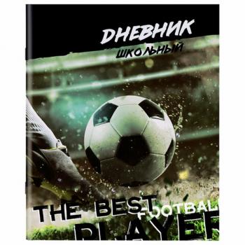 Дневник 1-11 класс 40л, на скобе, ПИФАГОР, обложка картон, Футбол, 106817 - Премиум Сервис