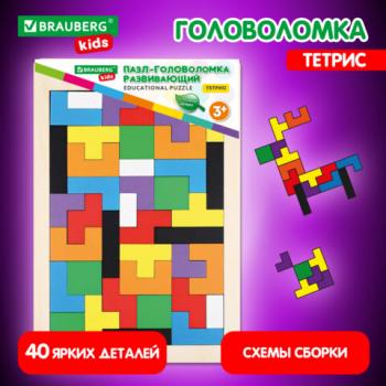 Головоломка развивающая деревянная "Тетрис", цветной, 18х27 см., BRAUBERG KIDS, 665262 - Премиум Сервис