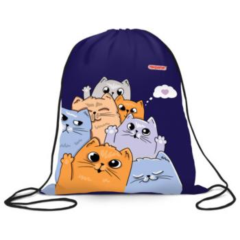 Мешок для обуви ПИФАГОР, 1 отделение, 40х32 см, Cats greetings, 272382 - Премиум Сервис