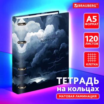 Тетрадь на кольцах А5 160х212мм, 120л, картон,матовая ламинация, клетка, BRAUBERG, Сова, 404726 - Премиум Сервис